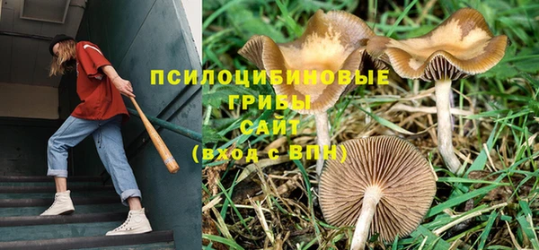 таблы Белоозёрский