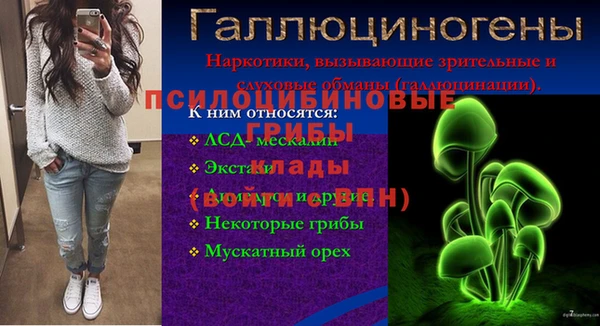 ГАЛЛЮЦИНОГЕННЫЕ ГРИБЫ Беломорск