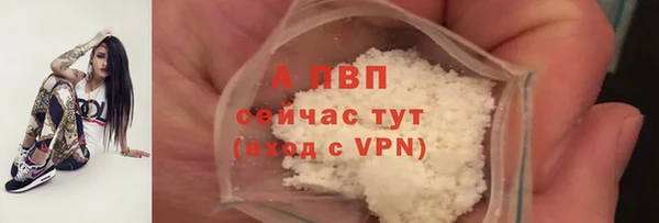 ГАЛЛЮЦИНОГЕННЫЕ ГРИБЫ Беломорск