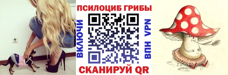купить гидра зеркало Псилоцибиновые грибы ЛСД Купино